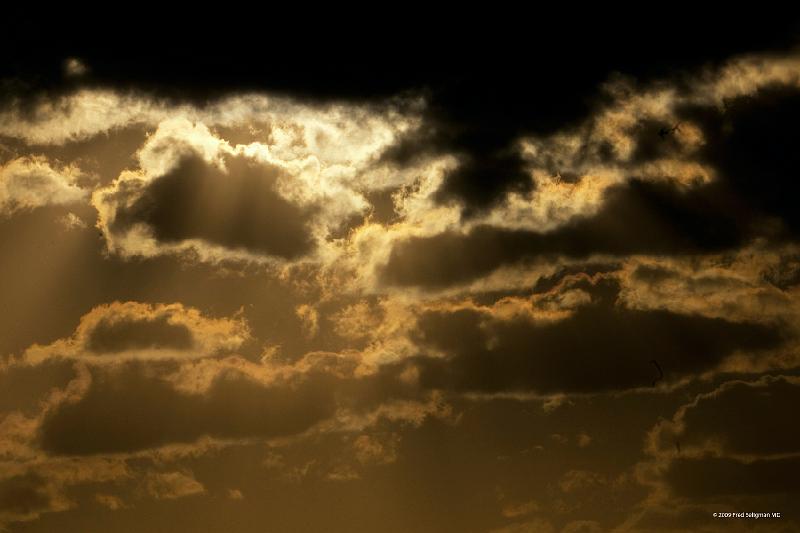 20090204_173800 D300 P1 5100x3400 srgb.jpg - Key West sunset